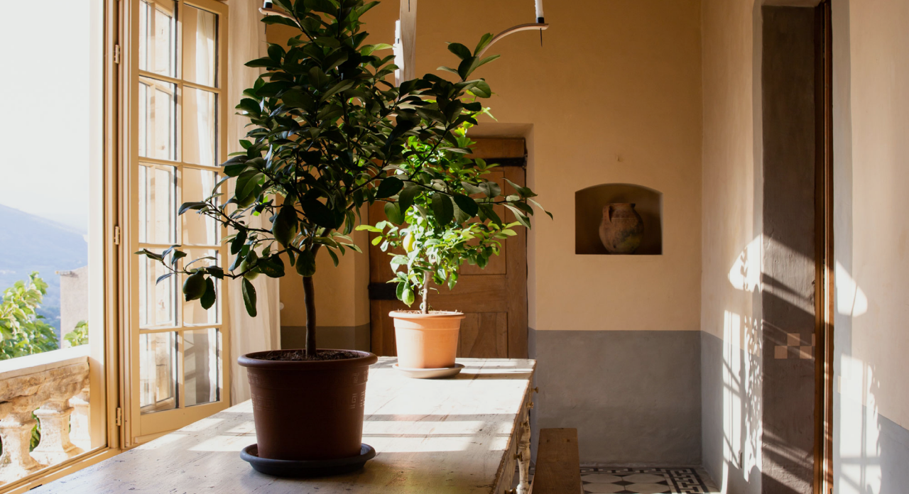 Mirabeau Patrimoine — cabinet à Aix-en-Provence